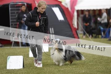 159756_bkn_1__BKN3103.JPG