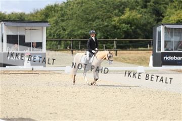 181894_mtp_05_R62_4085.JPG