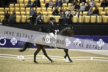 182194_kbb_01_Z096346.JPG