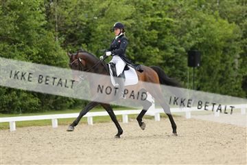 139835_sg_01_IMG_8182.JPG