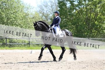 168732_mtp_01_3M5A7843.JPG