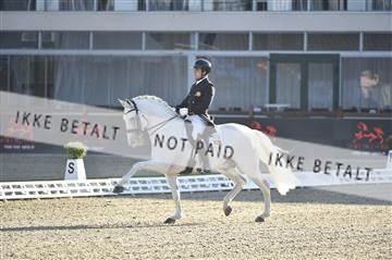 169586_kuo_06__D4S1599.JPG