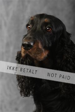 129608_le_ 01_0811.JPG