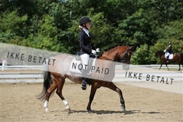 156196_nn_01_IMG_6042.JPG