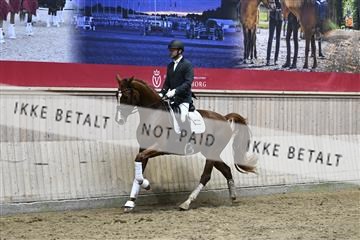 182241_kbb_01_Z094837.JPG