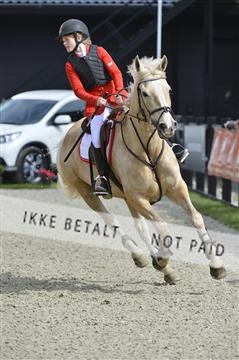 139644_abo_01__AB14356.JPG