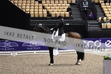 182194_kbb_03_Z099788.JPG