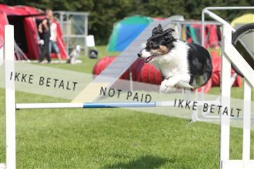 130370_tl_02_IMG_7756.JPG