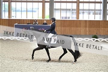 182176_kbb_01_Z093521.JPG