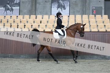 181852_mtp_01_R62_1236.JPG