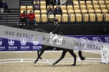 182194_kbb_01_Z097074.JPG