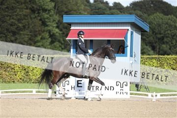 181957_mtp_01_3M5A7996.JPG
