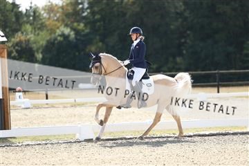 181894_mtp_02_R62_1472.JPG