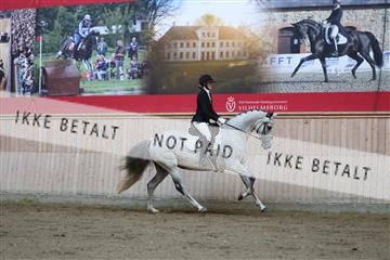 181887_mtp_02_R62_7454.JPG