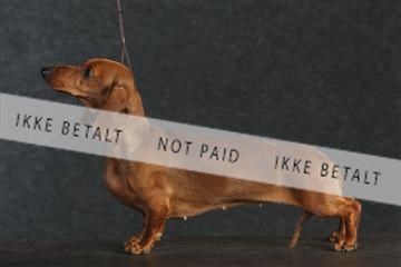 132082_le_ 01_IMG_0485.JPG