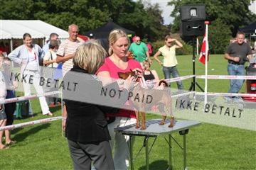 130370_se_02_IMG_6626.JPG